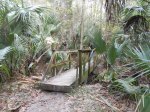 Footbridge along The Florida Trail